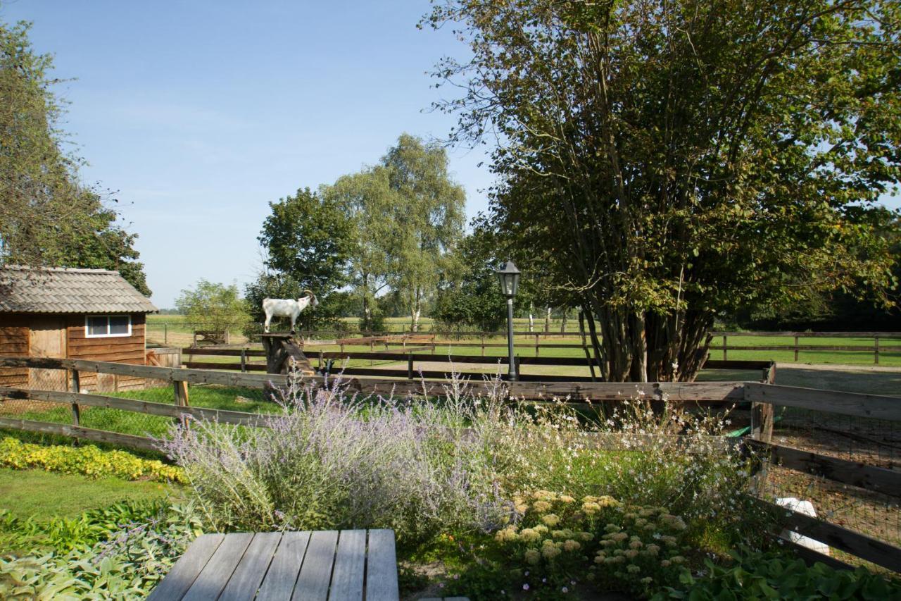 Het Rooversnest Riel Exterior photo